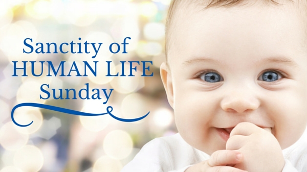 SANCTITY OF HUMAN LIFE SUNDAY