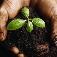 Church Planter Partnerships