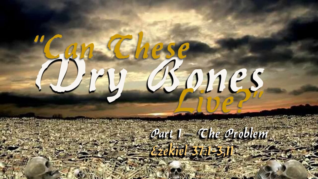 Can These Dry Bones Live Part 1 The Problem Wellspring Community Church