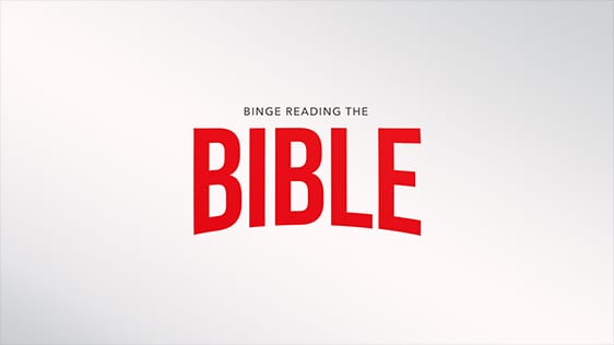 Binge Reading the Bible: Gospels Bridge
