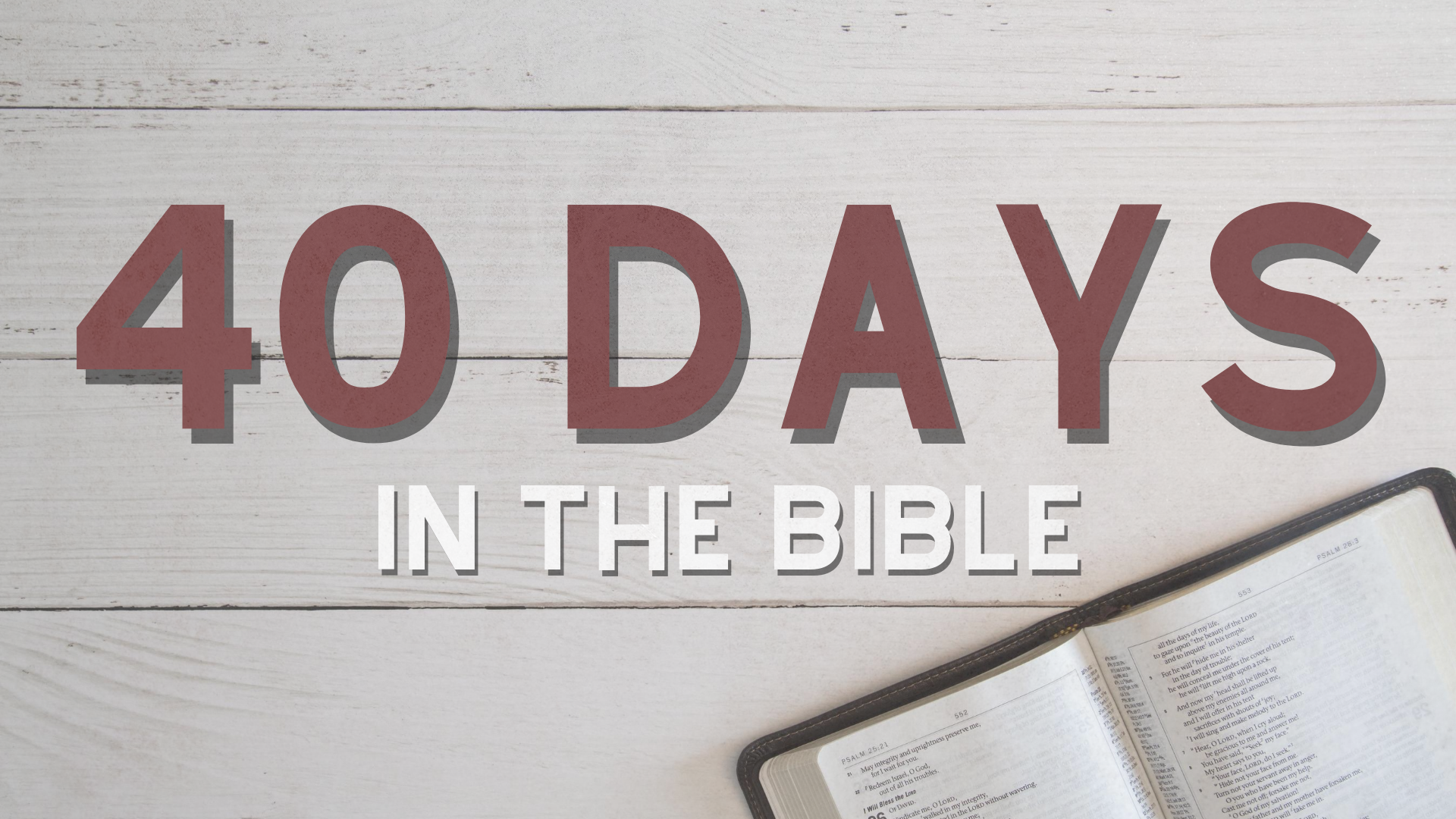 Building My Life On the Bible – Week 2