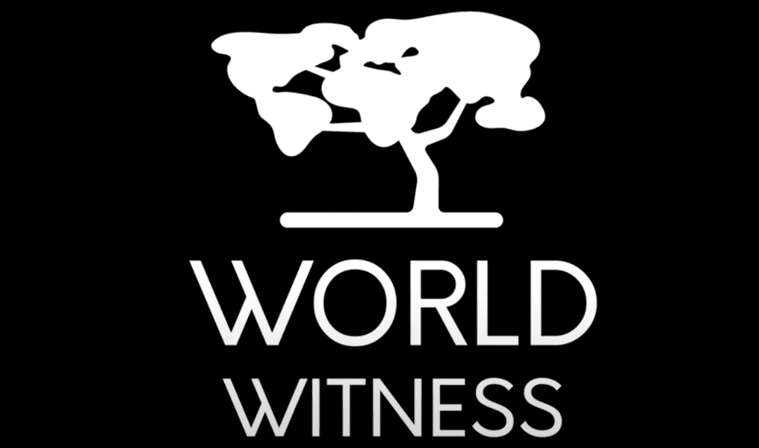 World Witness Update