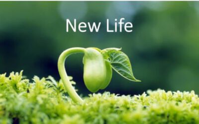 September 2023 Newsletter