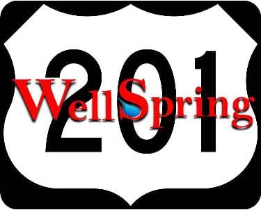 Wellspring 201