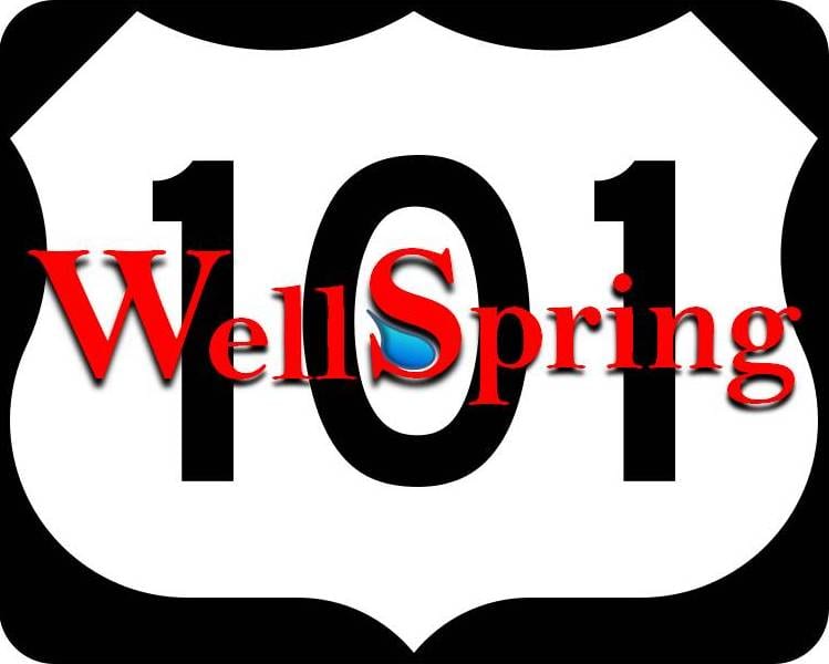 Wellspring 101