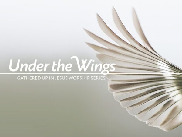 “Under the Wings”