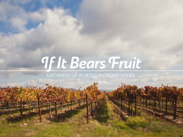 “If It Bears Fruit”