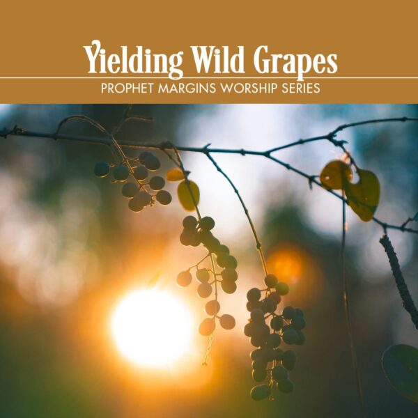 “Yielding Wild Grapes”
