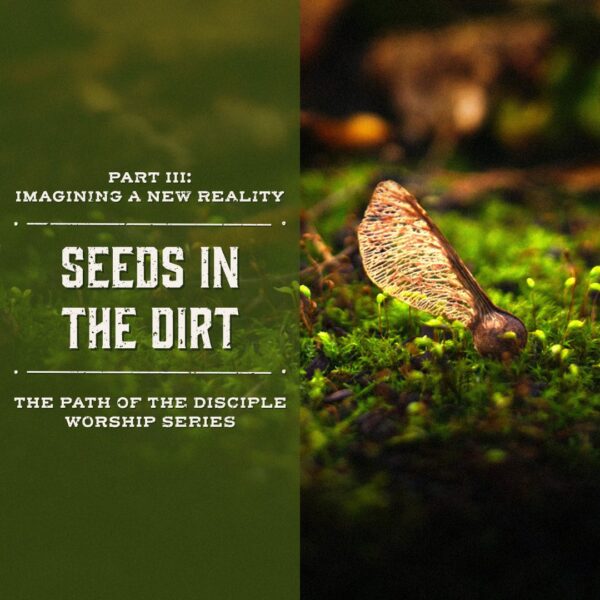 “Seeds in the Dirt”