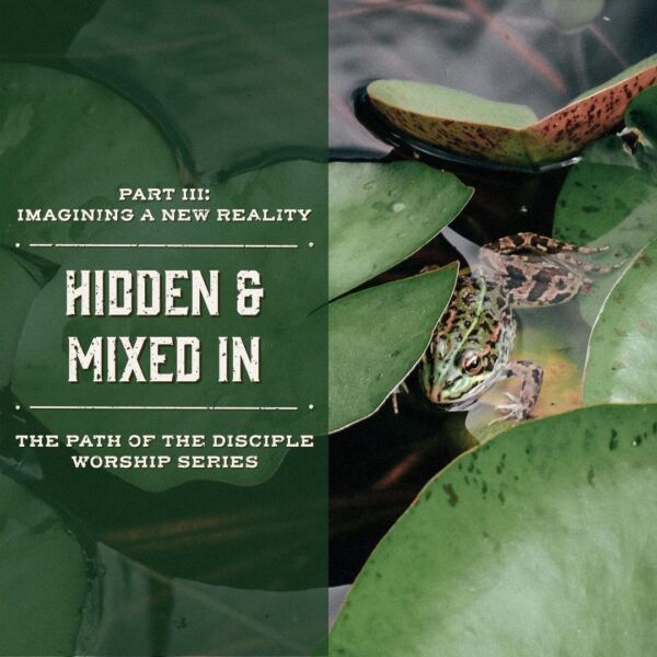 “Hidden and Mixed In”