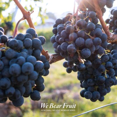 “We Bear Fruit”