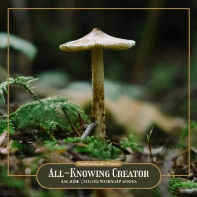 “All-Knowing Creator”