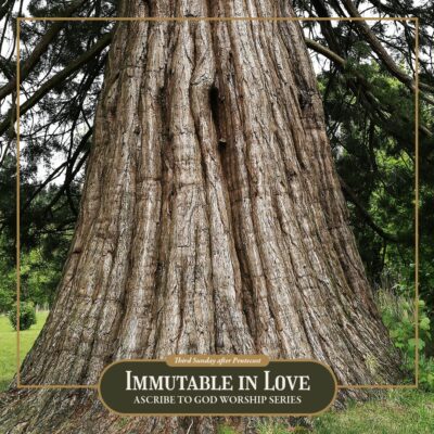 “Immutable in Love”