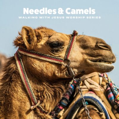 “Camels and Needles”