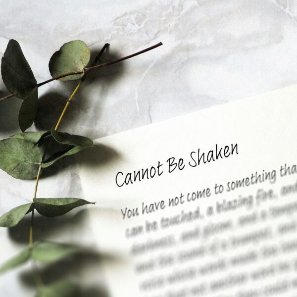 “Cannot Be Shaken”