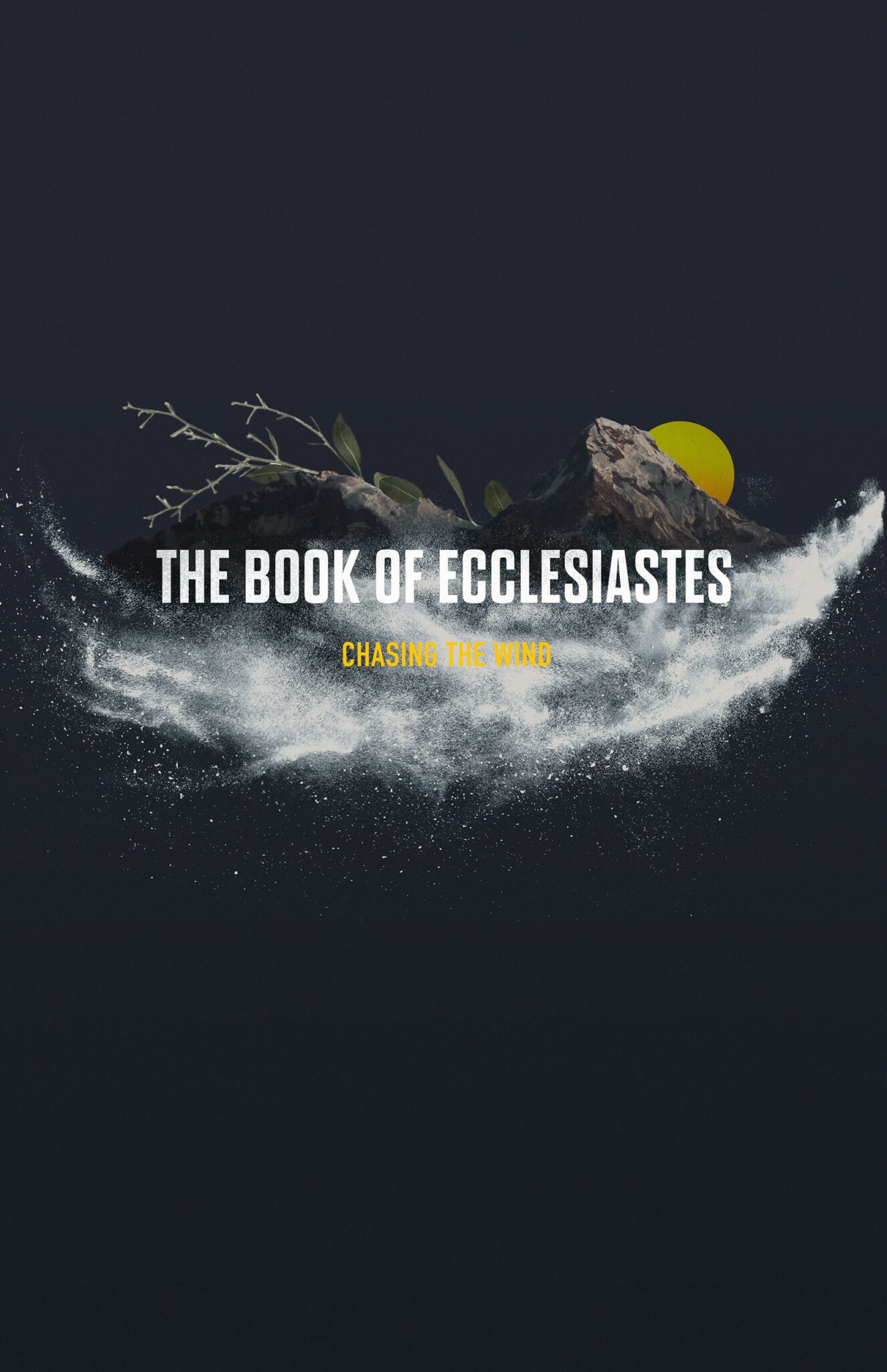Ecclesiastes: Seasons, Times, Days and How Will You Live?