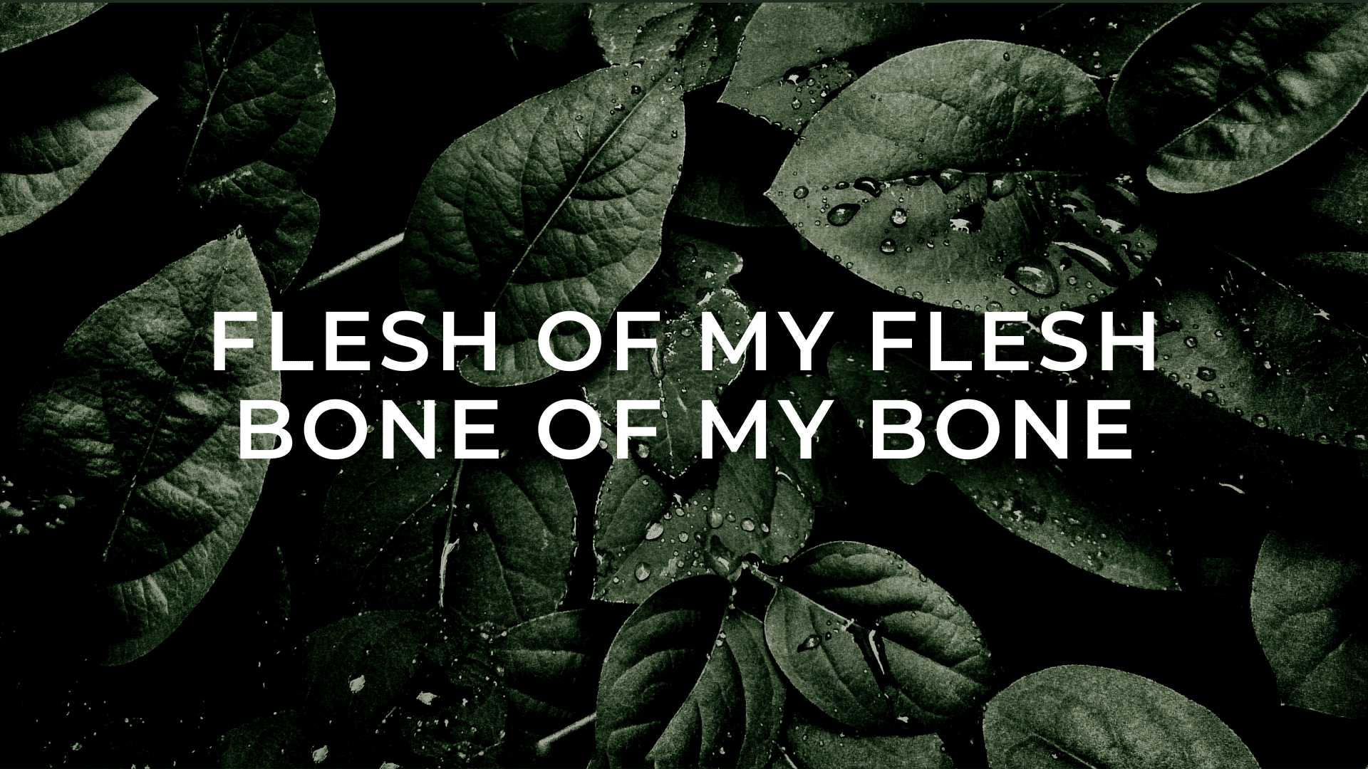 Flesh of My Flesh, Bone of My Bone