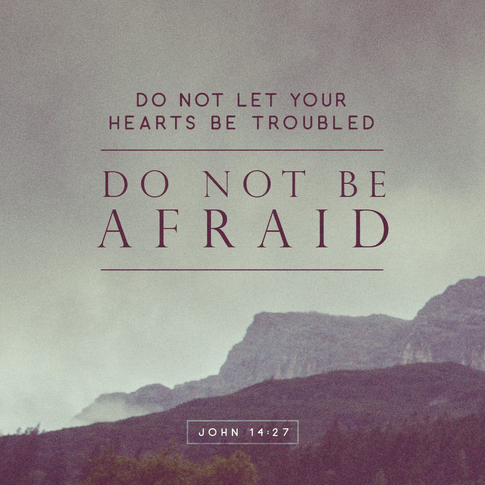 Rise, Do Not Be Afraid.