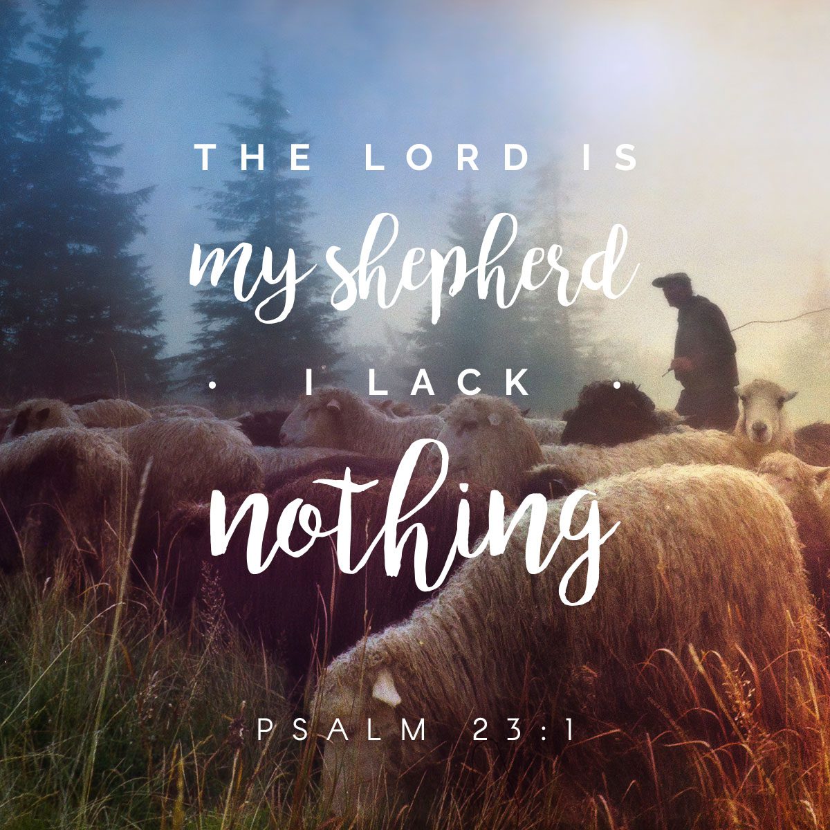 The King is Our Shepherd
