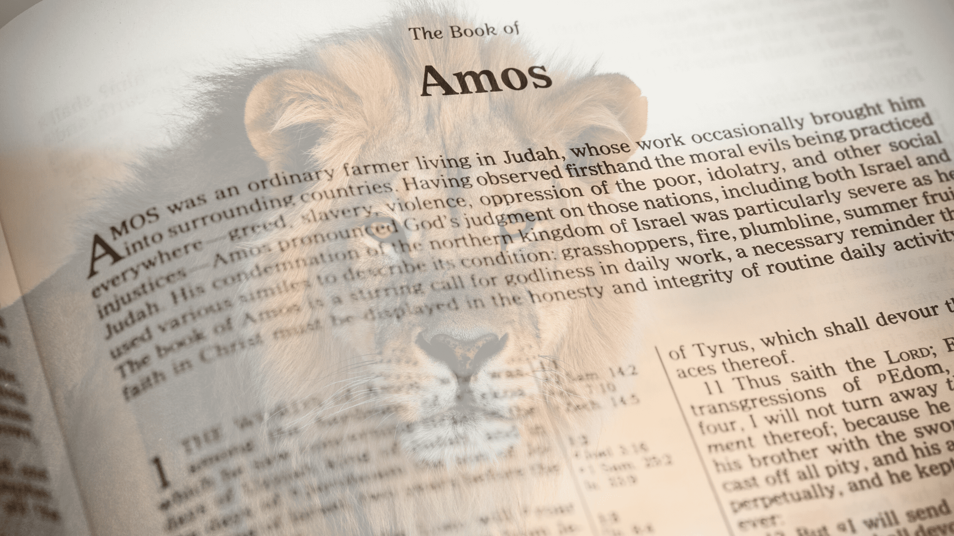SERMON | Amos 9 // Sovereignty in Destruction and Restoration