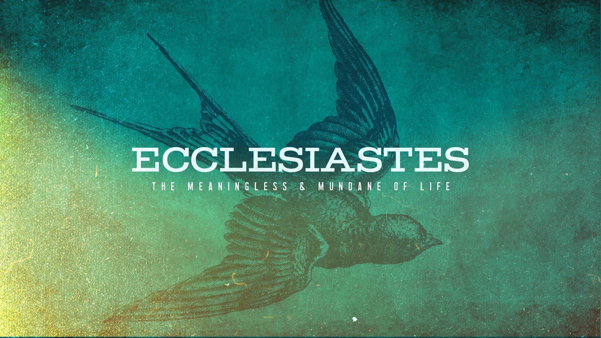 Ecclesiastes Above All