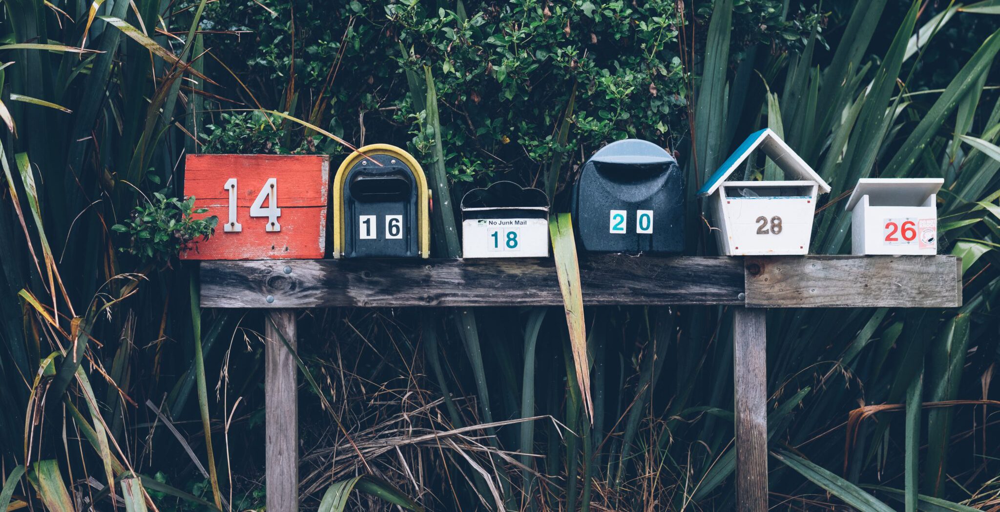 Flower Mound First Baptist photo 2