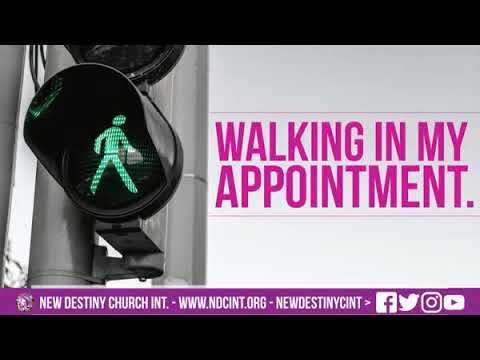 Walking in My Appointment