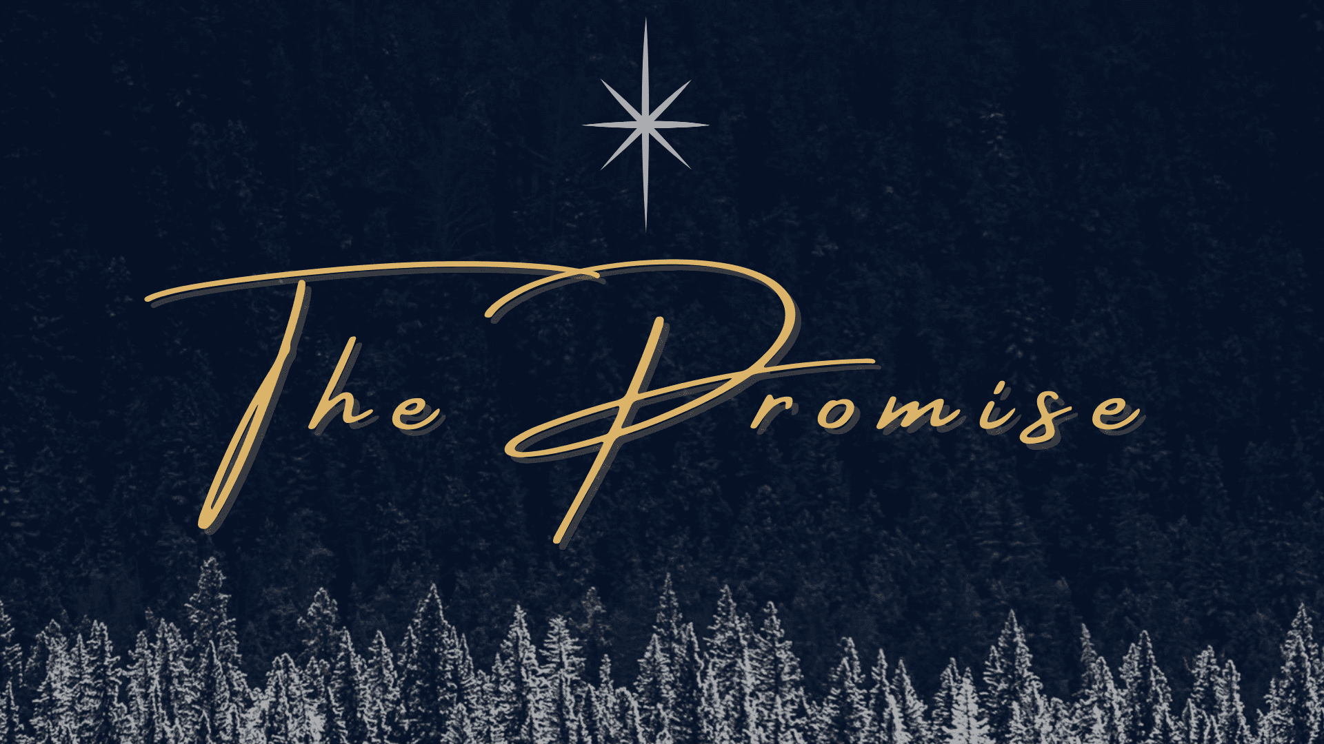 The Promise of Hope – Wk. 1 – Advent