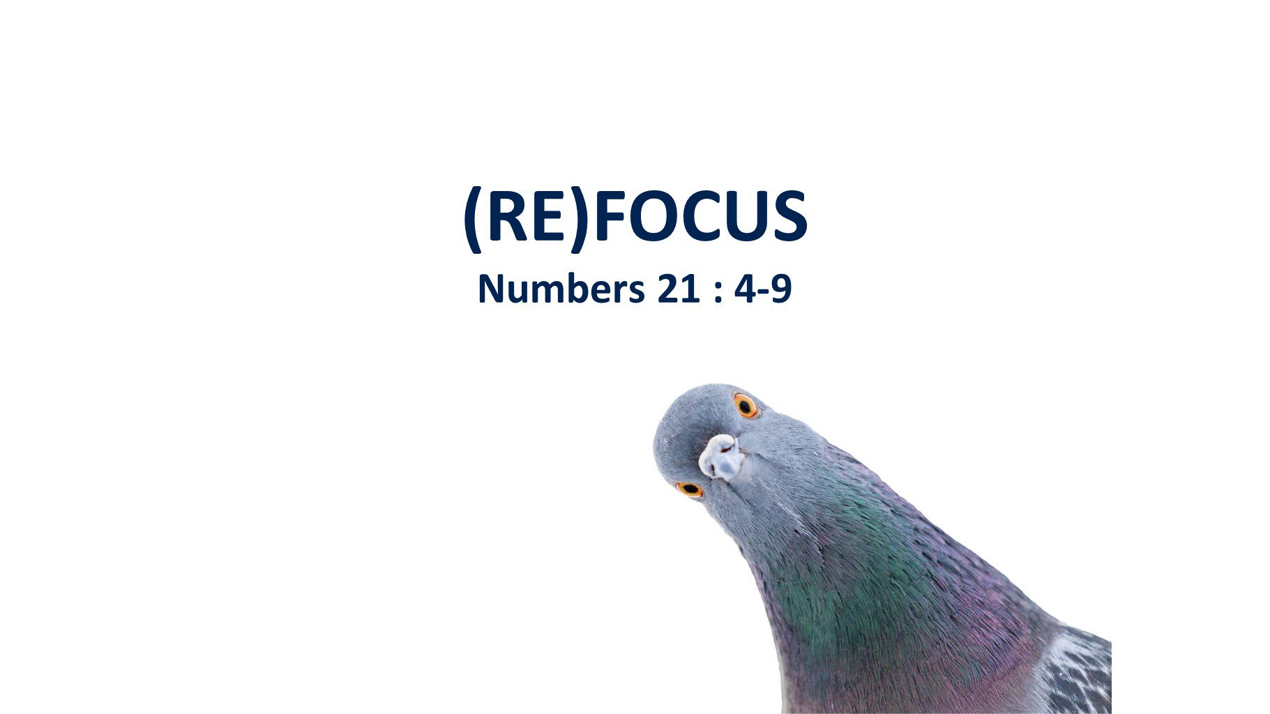 (Re)Focus