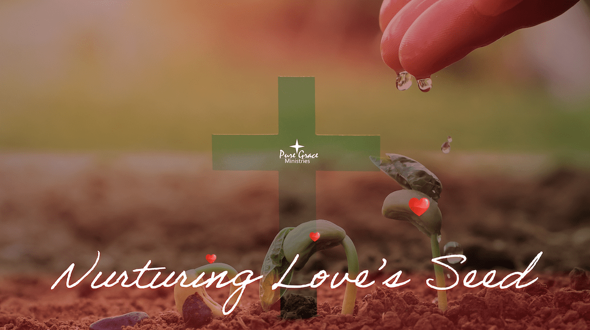 Nurturing Love’s Seed – Parable of the Sower Part I