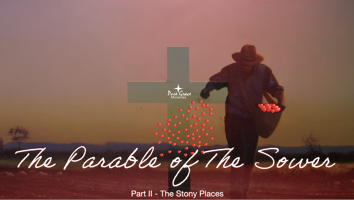 Nurturing Love’s Seed – Parable of The Sower Part II