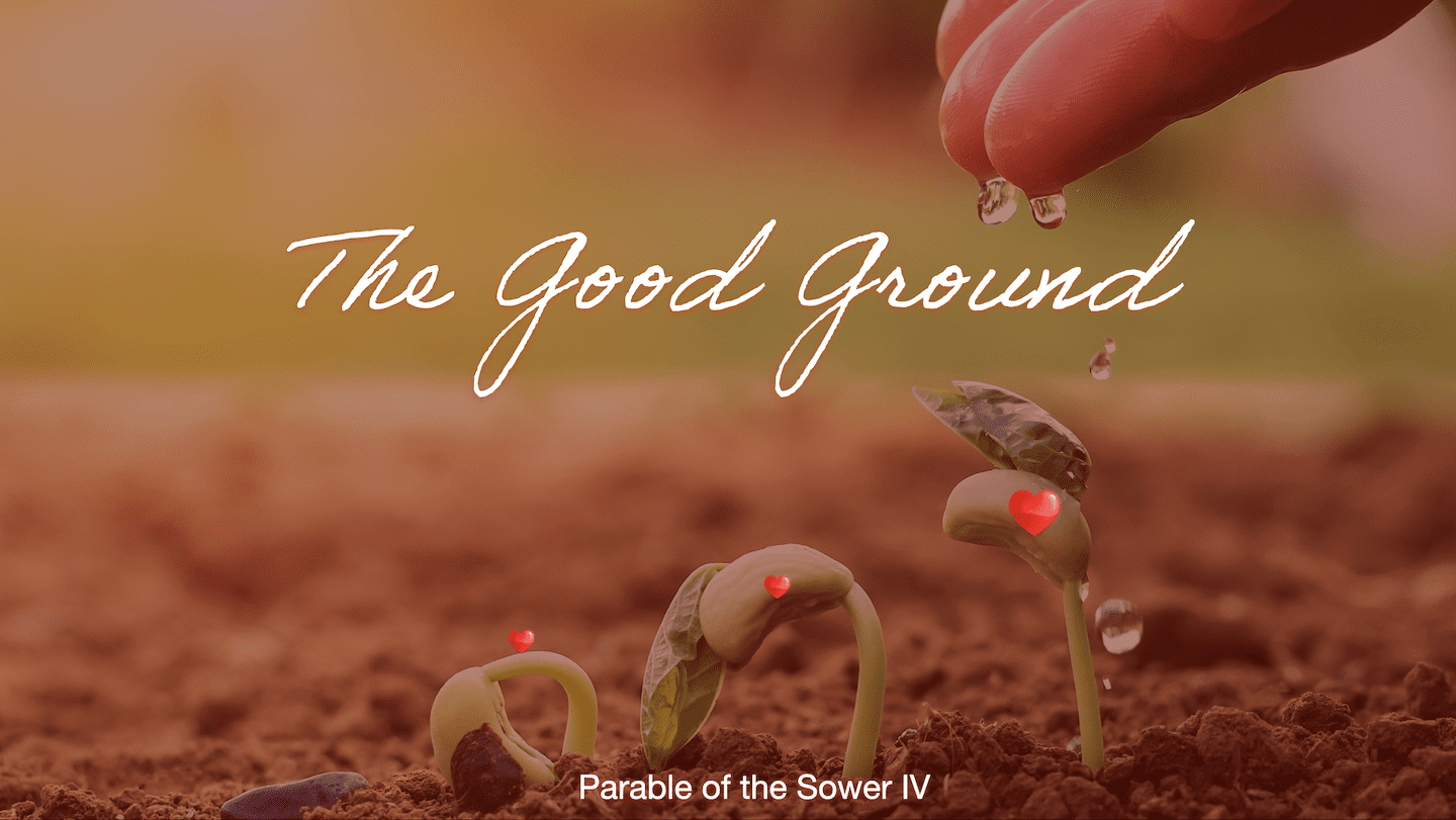 The Good Ground – Parable of The Sower Part IV