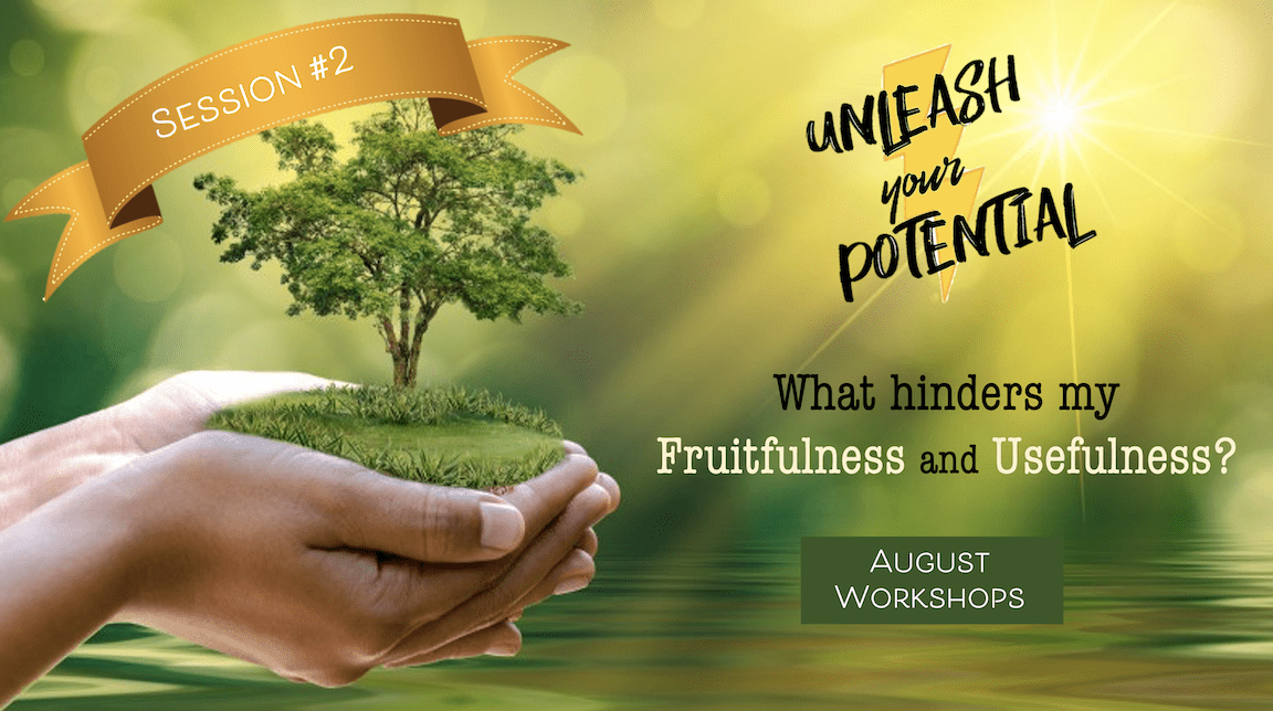 Unleash Your Potential: What Hinders My Fruitfulness and Usefulness Workshop – Session II