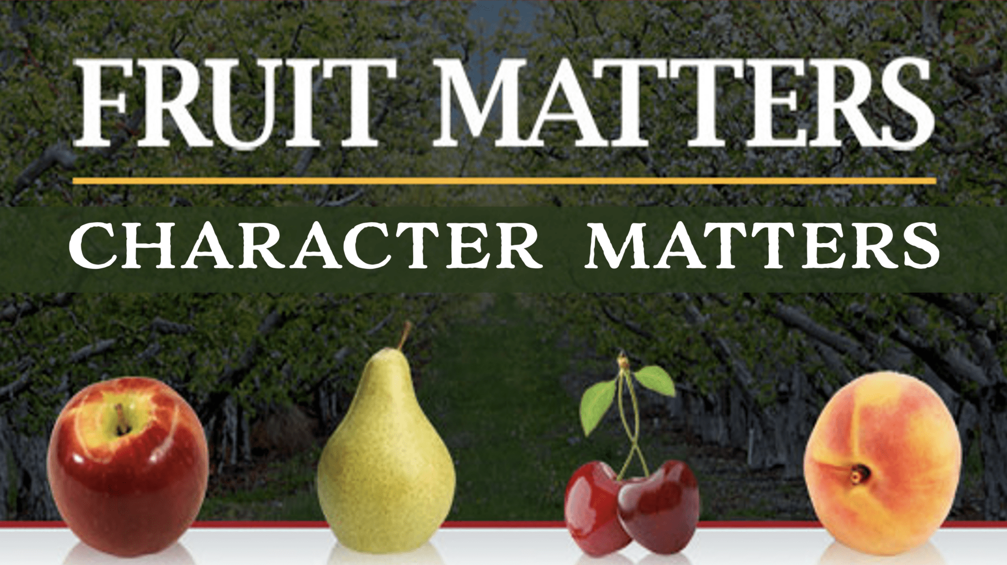 Workshop #4 – Unleashing Your Potential: FRUIT MATTERS!