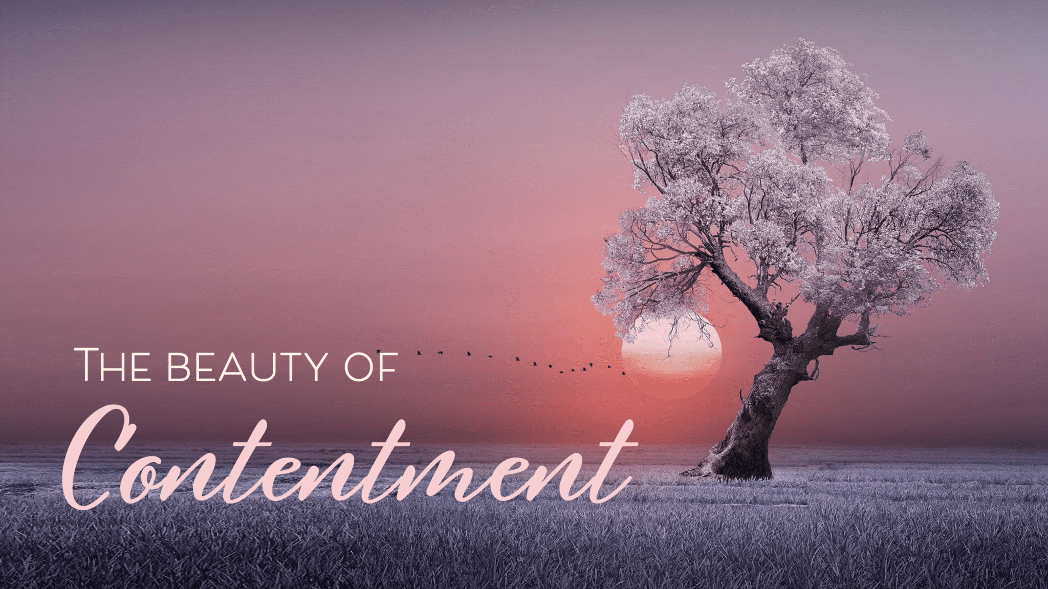 The Beauty Of Contentment