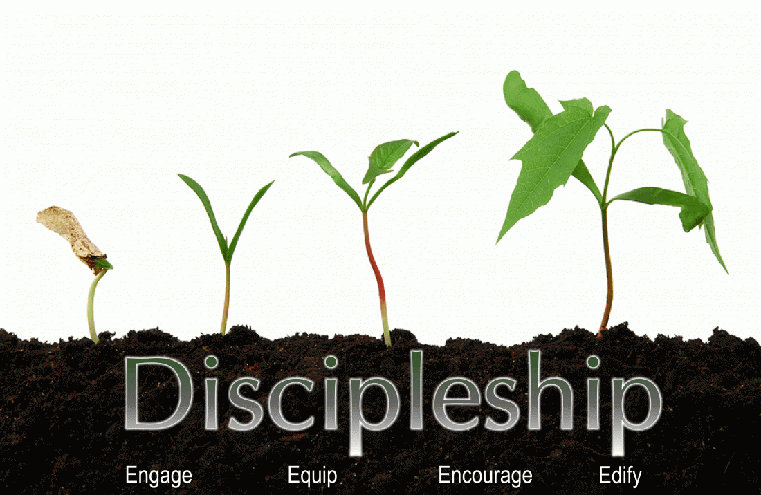 The Cost of Discipleship  Part 1