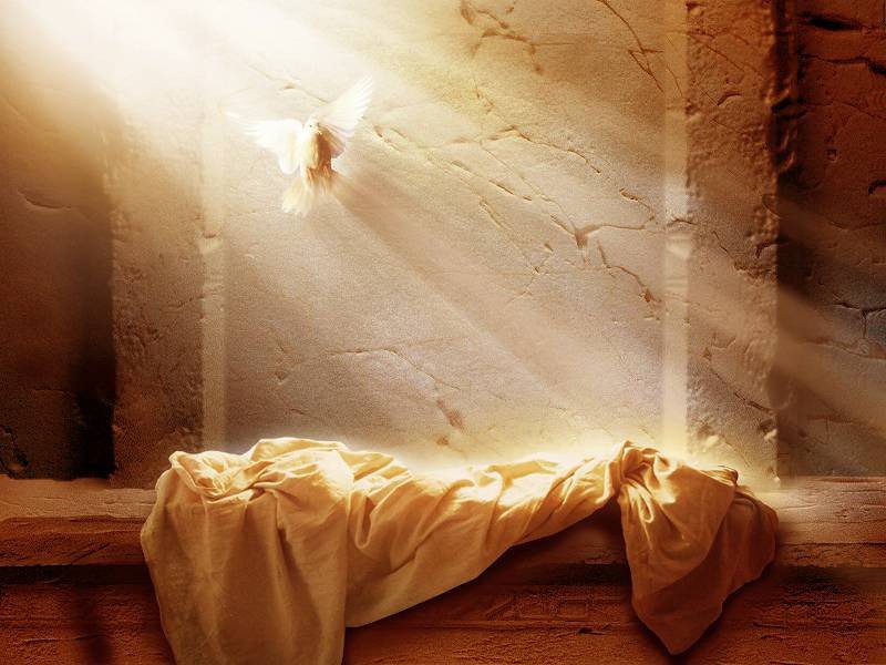 Why the Resurrection?
